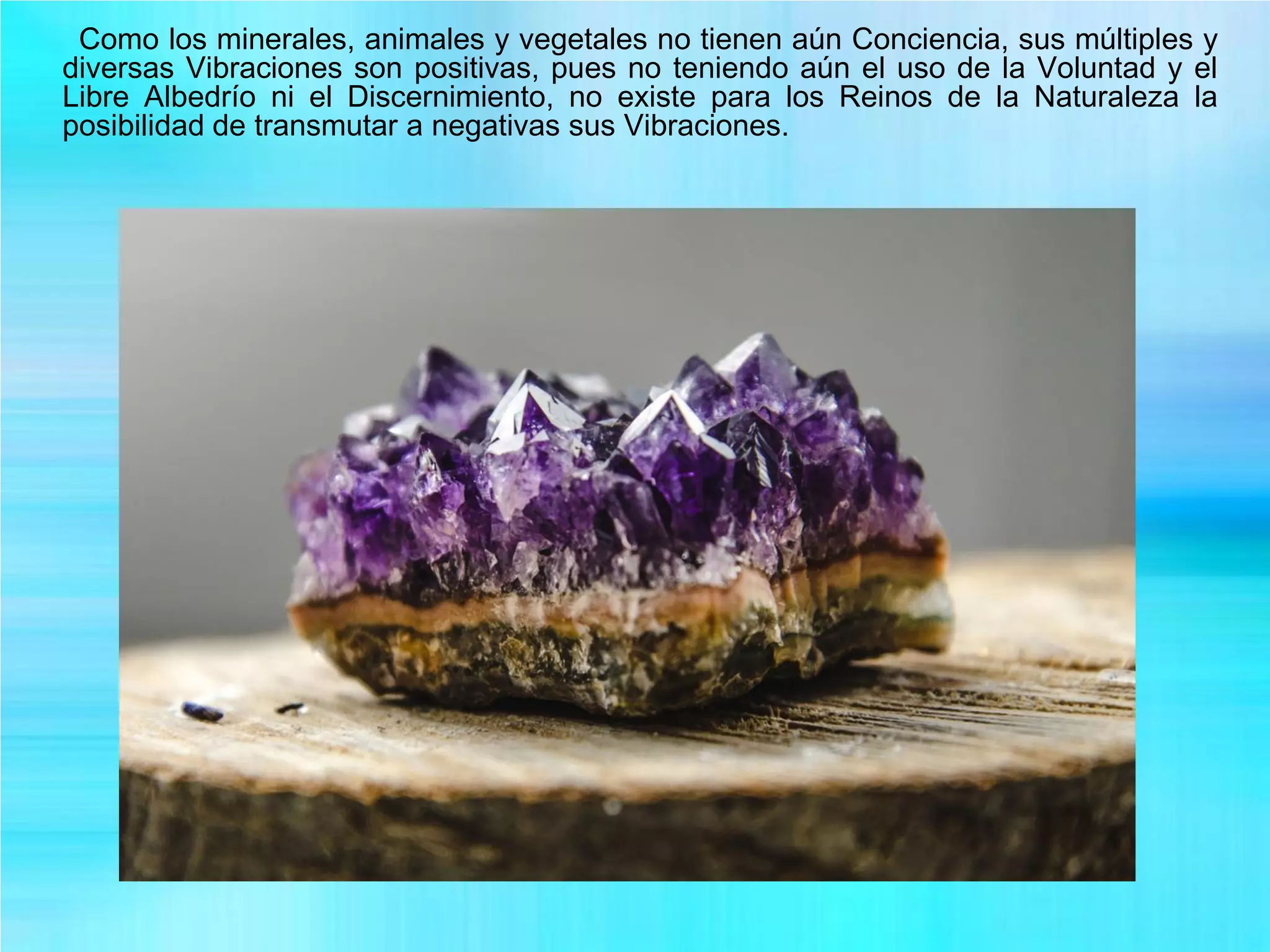 Como los minerales, animales y vegetales no tienen aún Conciencia, sus múltiples y
diversas Vibraciones son positivas, pues no teniendo aún el uso de la Voluntad y el
Libre Albedrío ni el Discernimiento, no existe para los Reinos de la Naturaleza la
posibilidad de transmutar a negativas sus Vibraciones.
 