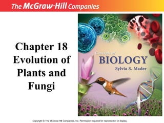 Copyright  ©  The McGraw-Hill Companies, Inc. Permission required for reproduction or display. Chapter 18 Evolution of Plants and Fungi 