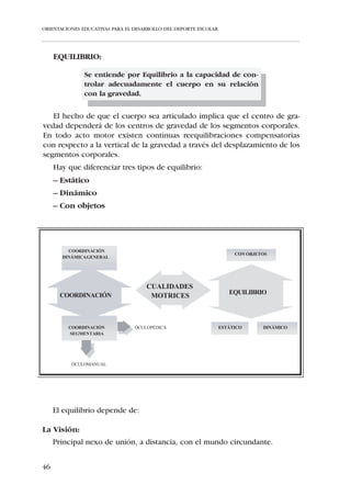 ORIENTACIONES EDUCATIVAS PARA EL DESARROLLO DEL DEPORTE ESCOLAR




     FUERZA:

              Desde el punto de vista de la actividad físico-depor-
              tiva, se define la Fuerza como la capacidad de un
              músculo o grupo de músculos de generar tensión.


     Hay distintos tipos de Fuerza:

     Fuerza máxima:

                  La mayor cantidad de Fuerza que se es capaz de generar,
                 independientemente del tiempo. Como la realizada por un
                          halterófilo en su mejor levantamiento.



      Fuerza explosiva:

                    La capacidad para superar una resistencia a la mayor
                   velocidad de contracción posible. Como la que genera un
                                     saltador en la batida.



 Fuerza resistencia:

                  La capacidad de mantener el desempeño de la Fuerza en
                  el tiempo. Como la que realiza un remero en una prueba
                                    de larga duración.



     La capacidad de generar Fuerza depende de:
     ¢ Sección transversal muscular:
        A mayor cantidad de fibras musculares mayor capacidad para generar
        Fuerza.
     ¢ Coordinación intramuscular:
        Cuanto mayor sea el porcentaje de fibras musculares que se recluten
        al unísono en cada contracción muscular, mayor capacidad para gene-
        rar Fuerza.
     ¢ Coordinación intermuscular:
        Cuanto mayor sea la sincronización de los grupos agonistas y la inhi-
        bición de los antagonistas, mayor capacidad para generar Fuerza.


40
 