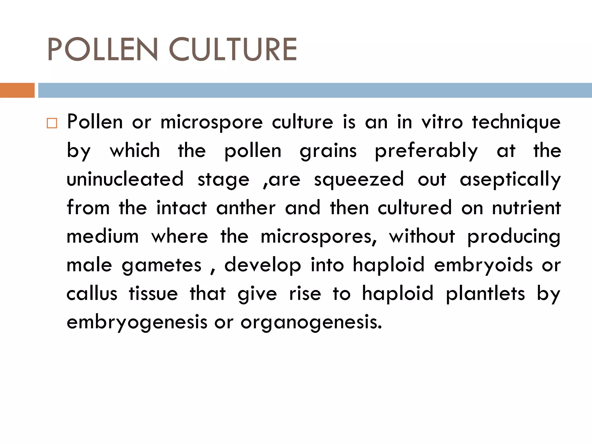 POLLEN CULTURE
 Pollen or microspore culture is an in vitro technique
by which the pollen grains preferably at the
uninucleated stage ,are squeezed out aseptically
from the intact anther and then cultured on nutrient
medium where the microspores, without producing
male gametes , develop into haploid embryoids or
callus tissue that give rise to haploid plantlets by
embryogenesis or organogenesis.
 