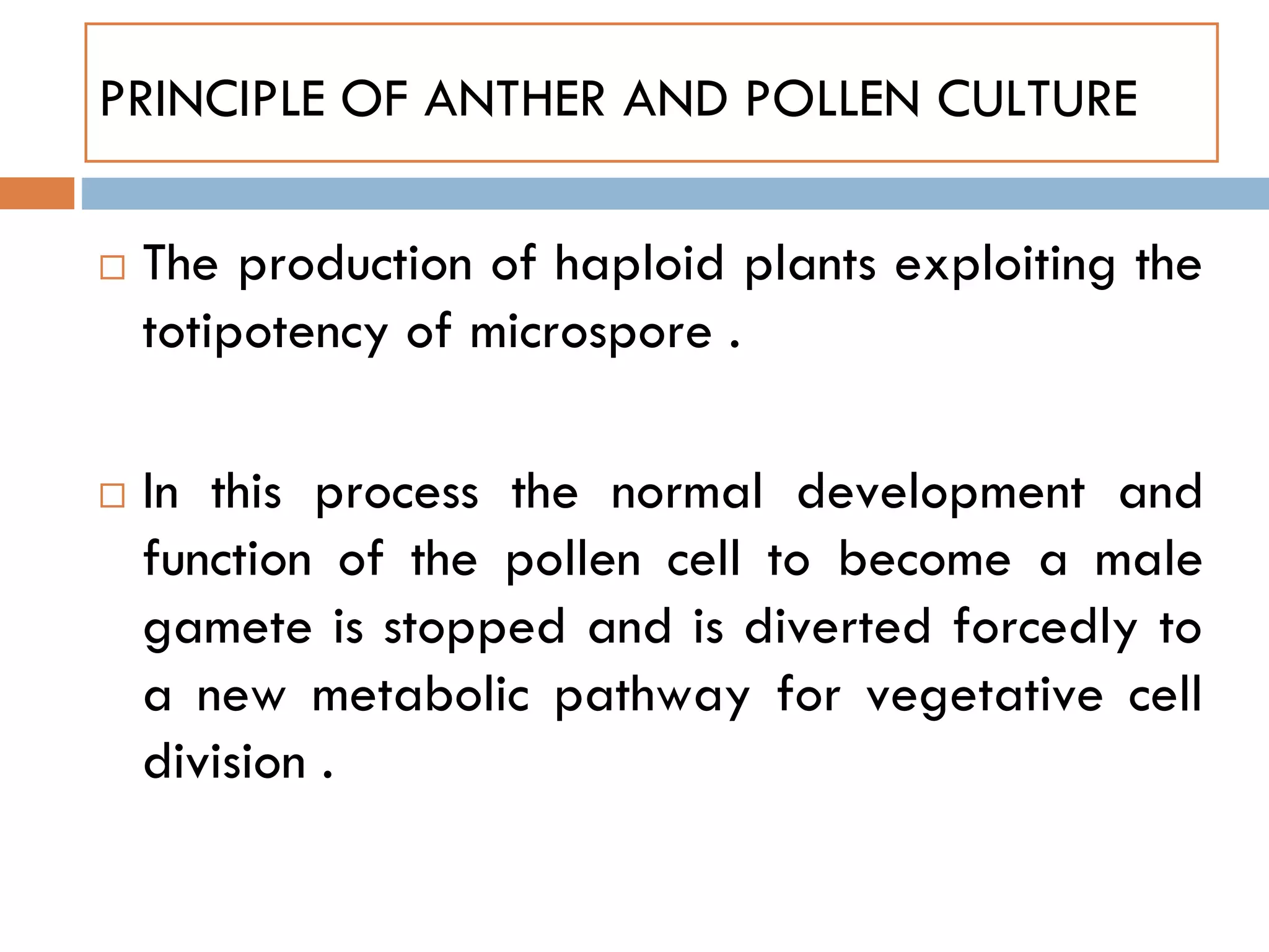  The production of haploid plants exploiting the
totipotency of microspore .
 In this process the normal development and
function of the pollen cell to become a male
gamete is stopped and is diverted forcedly to
a new metabolic pathway for vegetative cell
division .
PRINCIPLE OF ANTHER AND POLLEN CULTURE
 