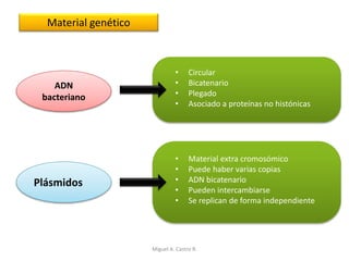 Material genético
ADN
bacteriano
• Circular
• Bicatenario
• Plegado
• Asociado a proteínas no histónicas
Plásmidos
• Material extra cromosómico
• Puede haber varias copias
• ADN bicatenario
• Pueden intercambiarse
• Se replican de forma independiente
Miguel A. Castro R.
 