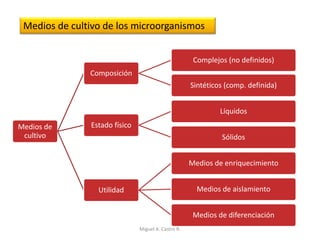 Medios de cultivo de los microorganismos
Medios de
cultivo
Composición
Complejos (no definidos)
Sintéticos (comp. definida)
Estado físico
Líquidos
Sólidos
Utilidad
Medios de enriquecimiento
Medios de aislamiento
Medios de diferenciación
Miguel A. Castro R.
 