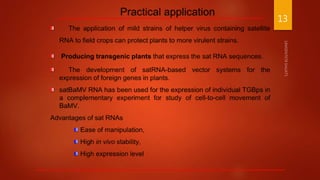 Satellite RNA