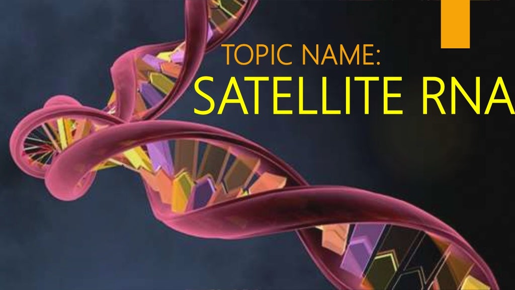 Satellite RNA