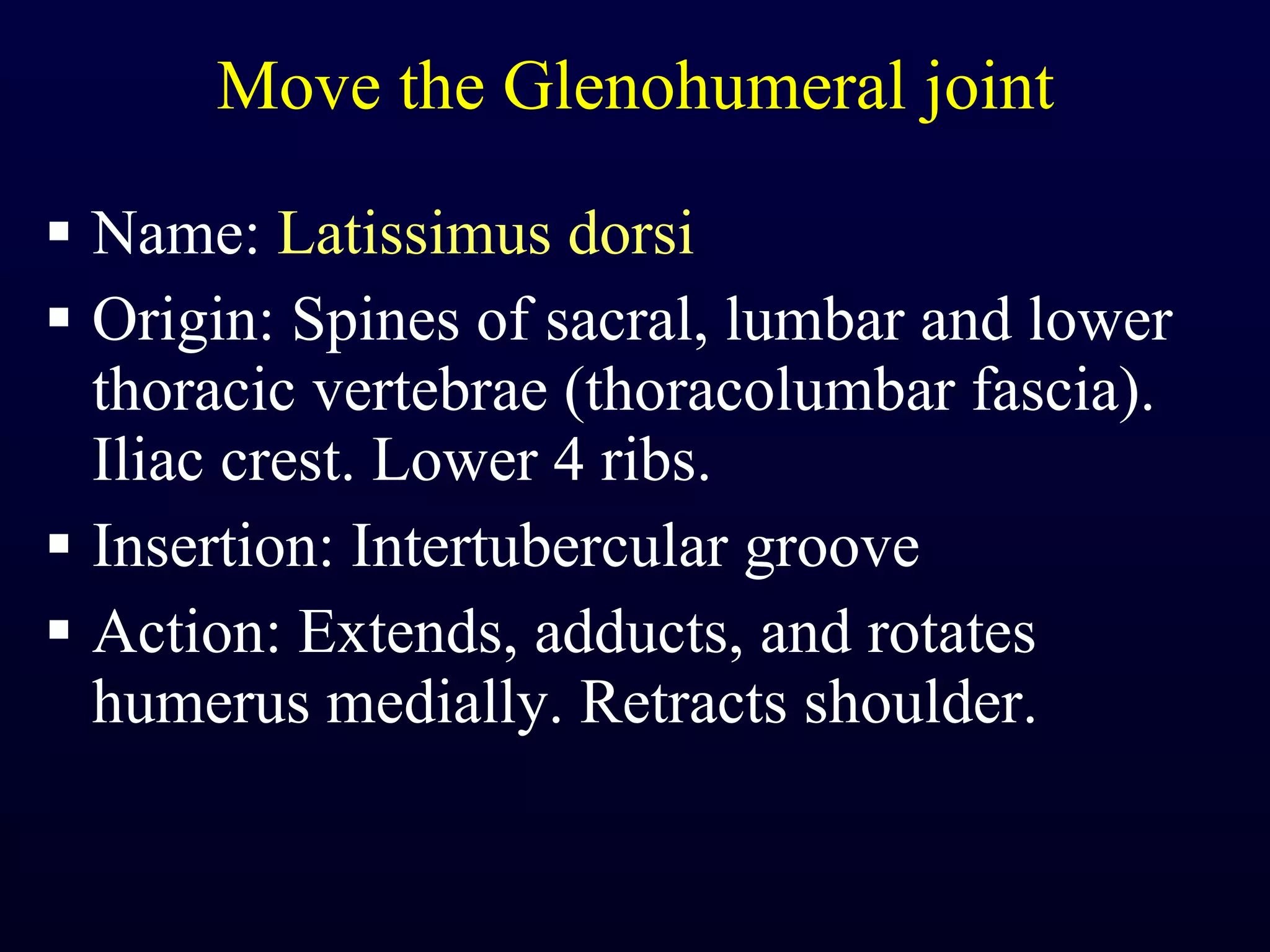 Move the Glenohumeral joint Name:  Latissimus dorsi Origin: Spines of sacral, lumbar and lower thoracic vertebrae (thoracolumbar fascia). Iliac crest. Lower 4 ribs. Insertion: Intertubercular groove Action: Extends, adducts, and rotates humerus medially. Retracts shoulder. 