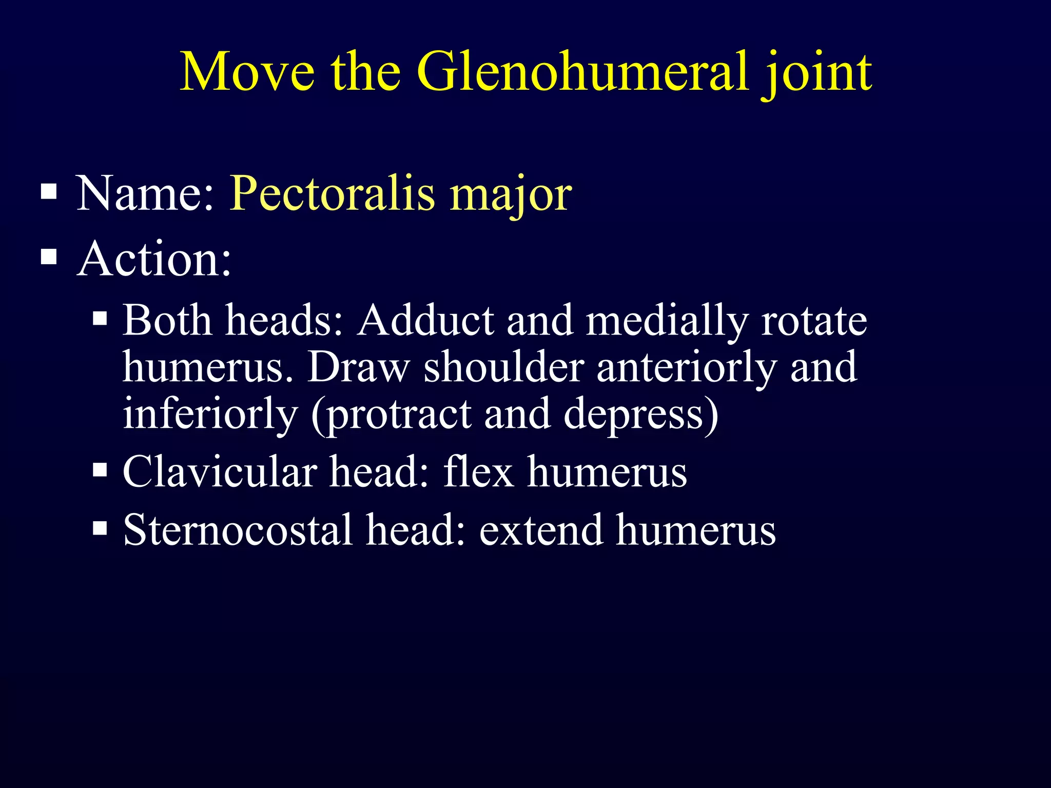 Move the Glenohumeral joint Name:  Pectoralis major Action:  Both heads: Adduct and medially rotate humerus. Draw shoulder anteriorly and inferiorly (protract and depress) Clavicular head: flex humerus Sternocostal head: extend humerus 