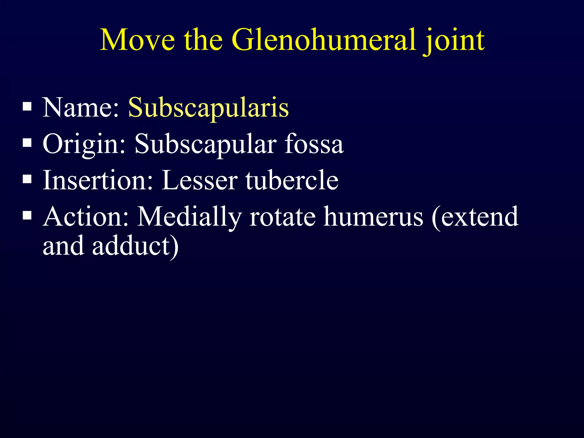 Move the Glenohumeral joint Name:  Subscapularis Origin: Subscapular fossa Insertion: Lesser tubercle Action: Medially rotate humerus (extend and adduct) 