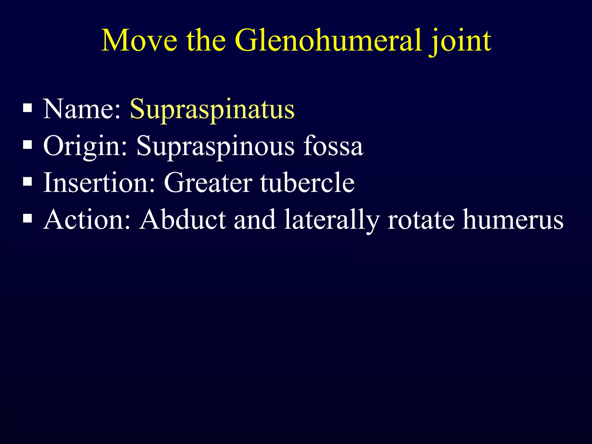 Move the Glenohumeral joint Name:  Supraspinatus Origin: Supraspinous fossa Insertion: Greater tubercle Action: Abduct and laterally rotate humerus 