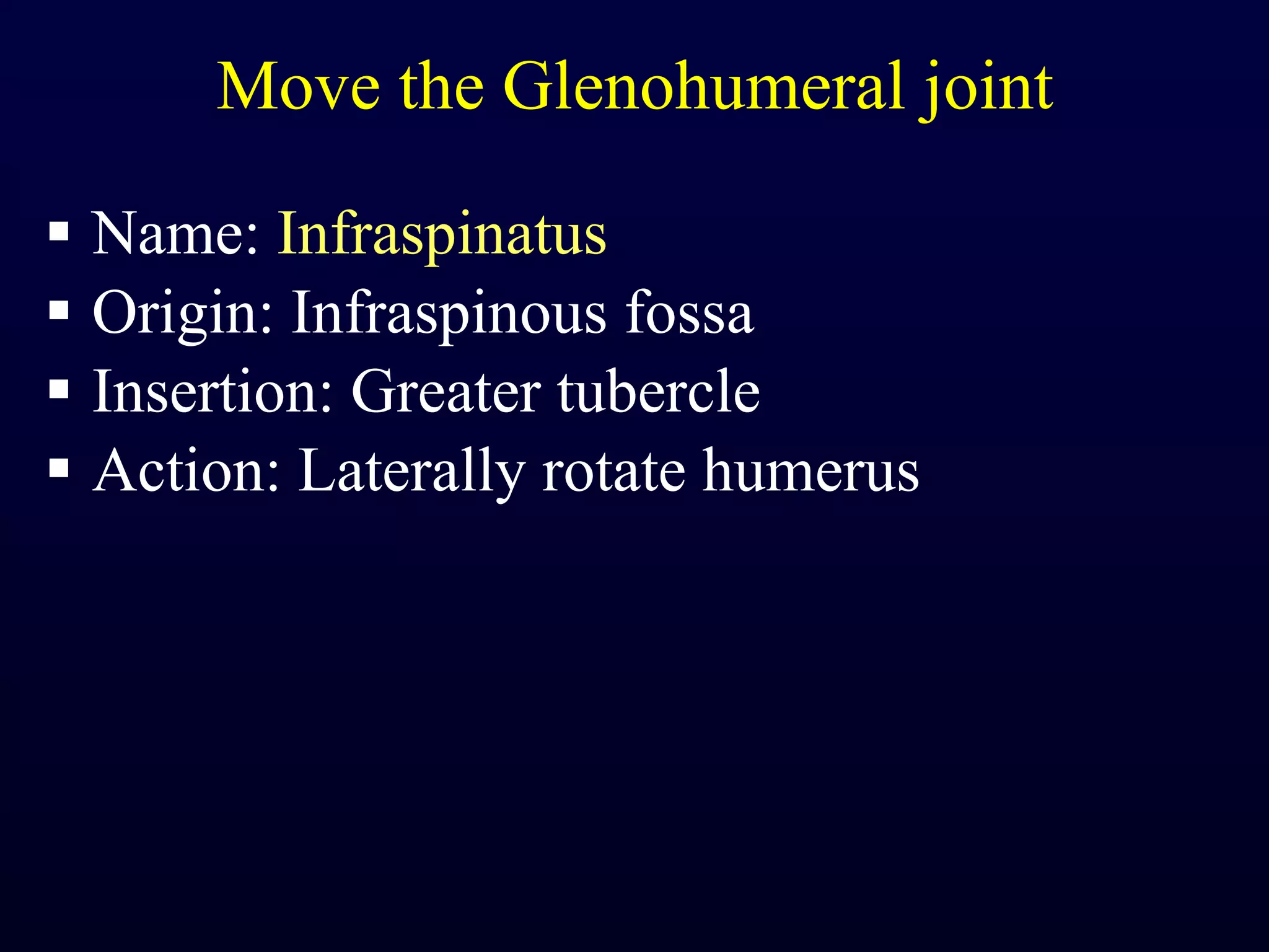 Move the Glenohumeral joint Name:  Infraspinatus Origin: Infraspinous fossa Insertion: Greater tubercle Action: Laterally rotate humerus 