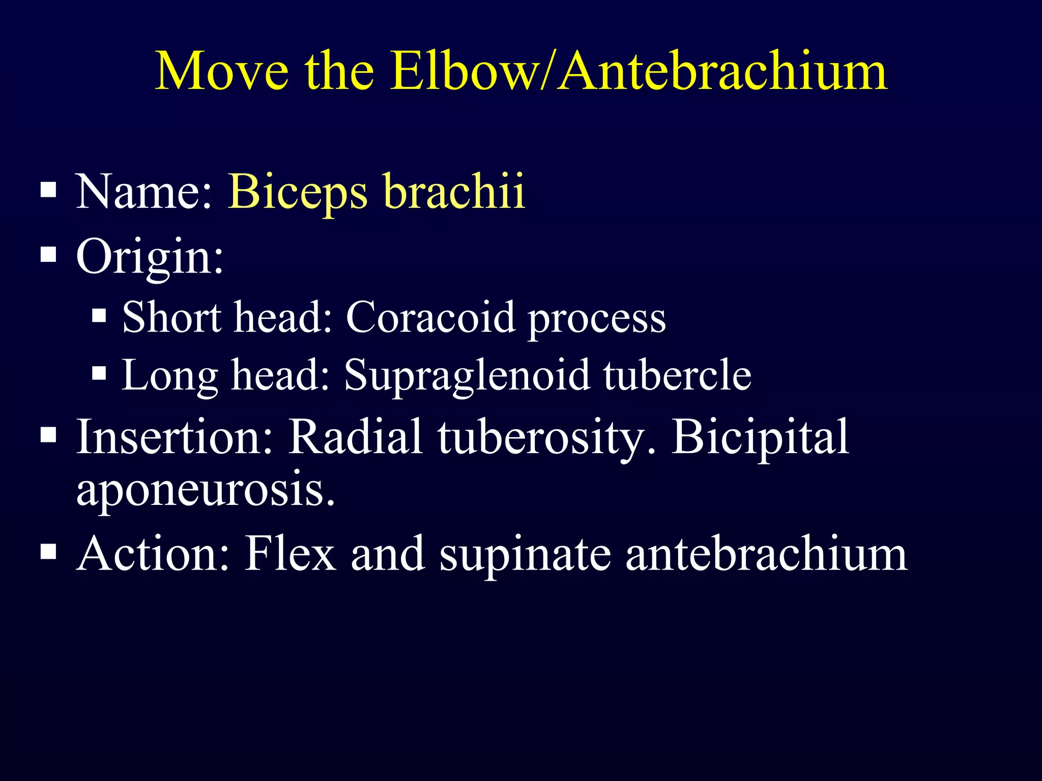 Move the Elbow/Antebrachium Name:  Biceps brachii Origin:  Short head: Coracoid process Long head: Supraglenoid tubercle Insertion: Radial tuberosity. Bicipital aponeurosis. Action: Flex and supinate antebrachium 