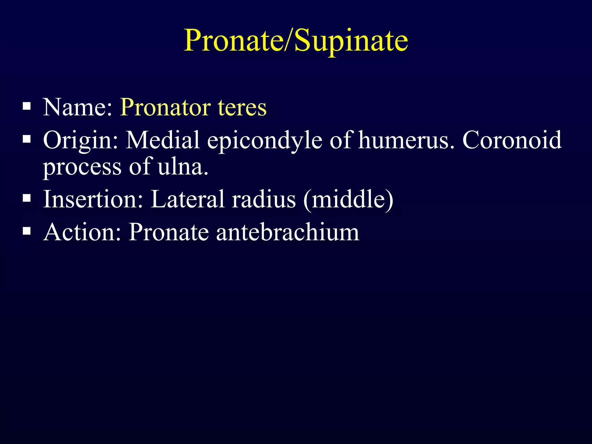 Pronate/Supinate Name:  Pronator teres Origin: Medial epicondyle of humerus. Coronoid process of ulna. Insertion: Lateral radius (middle) Action: Pronate antebrachium 