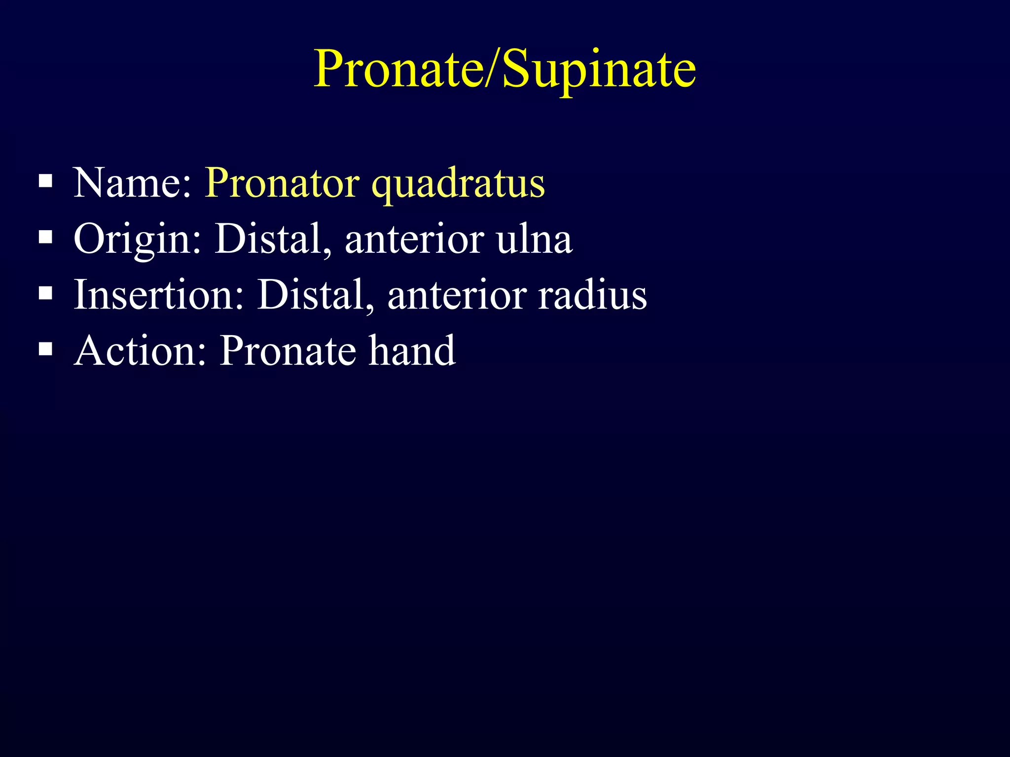 Pronate/Supinate Name:  Pronator quadratus Origin: Distal, anterior ulna Insertion: Distal, anterior radius Action: Pronate hand 