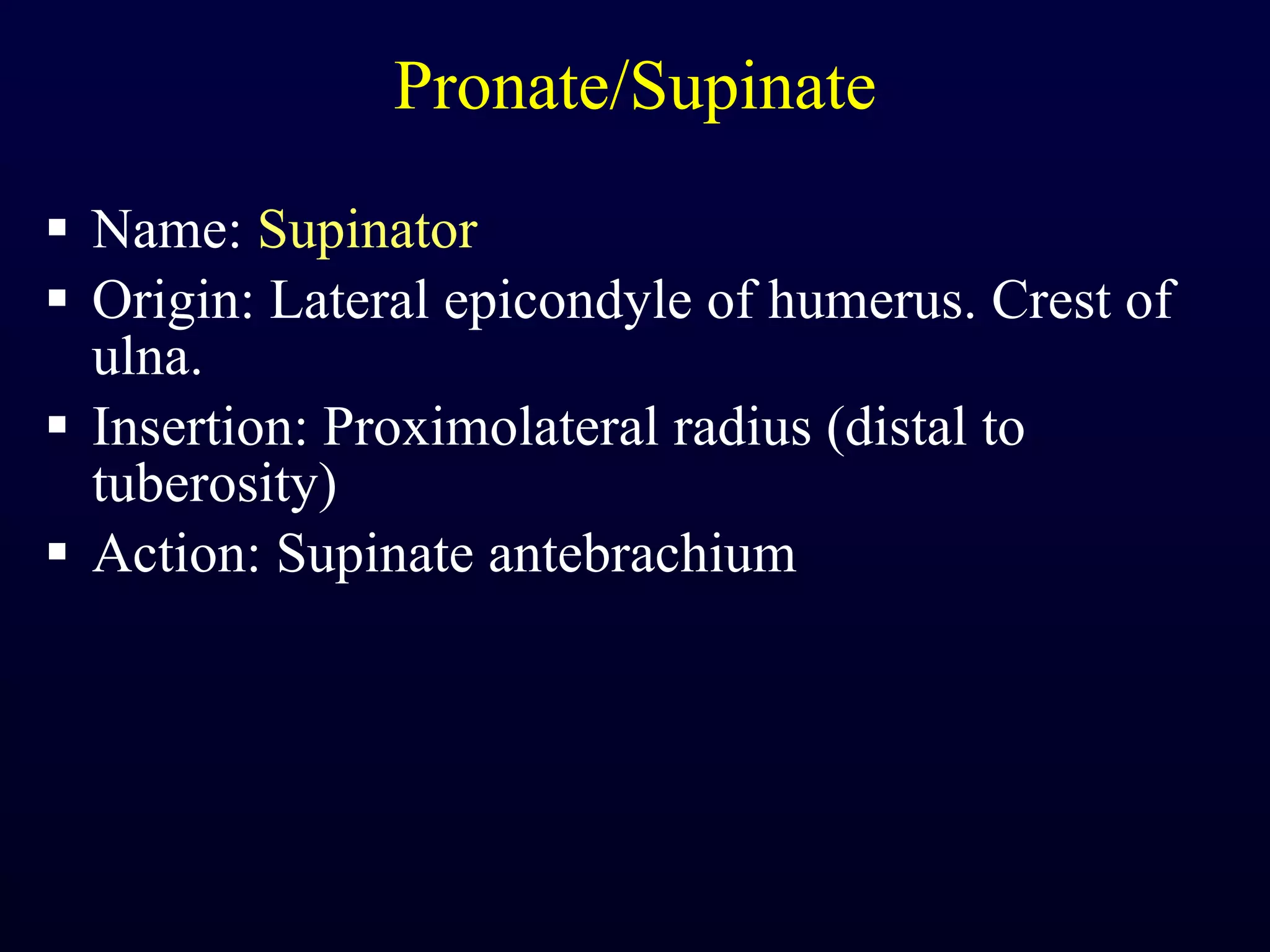 Pronate/Supinate Name:  Supinator Origin: Lateral epicondyle of humerus. Crest of ulna. Insertion: Proximolateral radius (distal to tuberosity) Action: Supinate antebrachium 