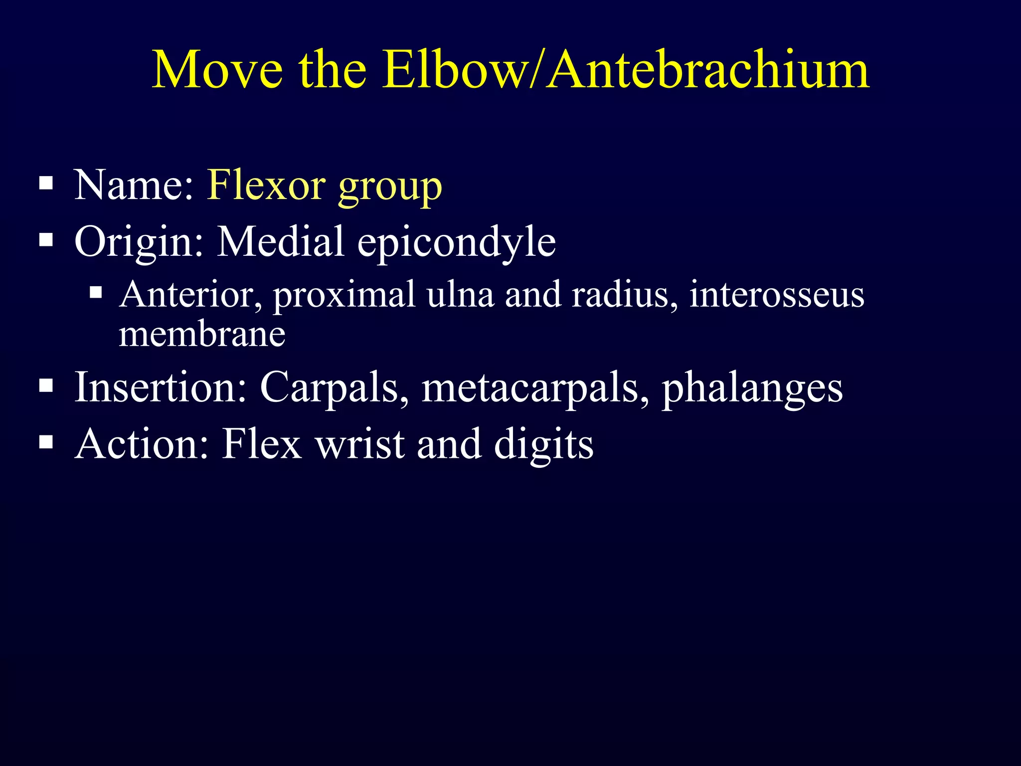 Move the Elbow/Antebrachium Name:  Flexor group Origin: Medial epicondyle Anterior, proximal ulna and radius, interosseus membrane Insertion: Carpals, metacarpals, phalanges Action: Flex wrist and digits 