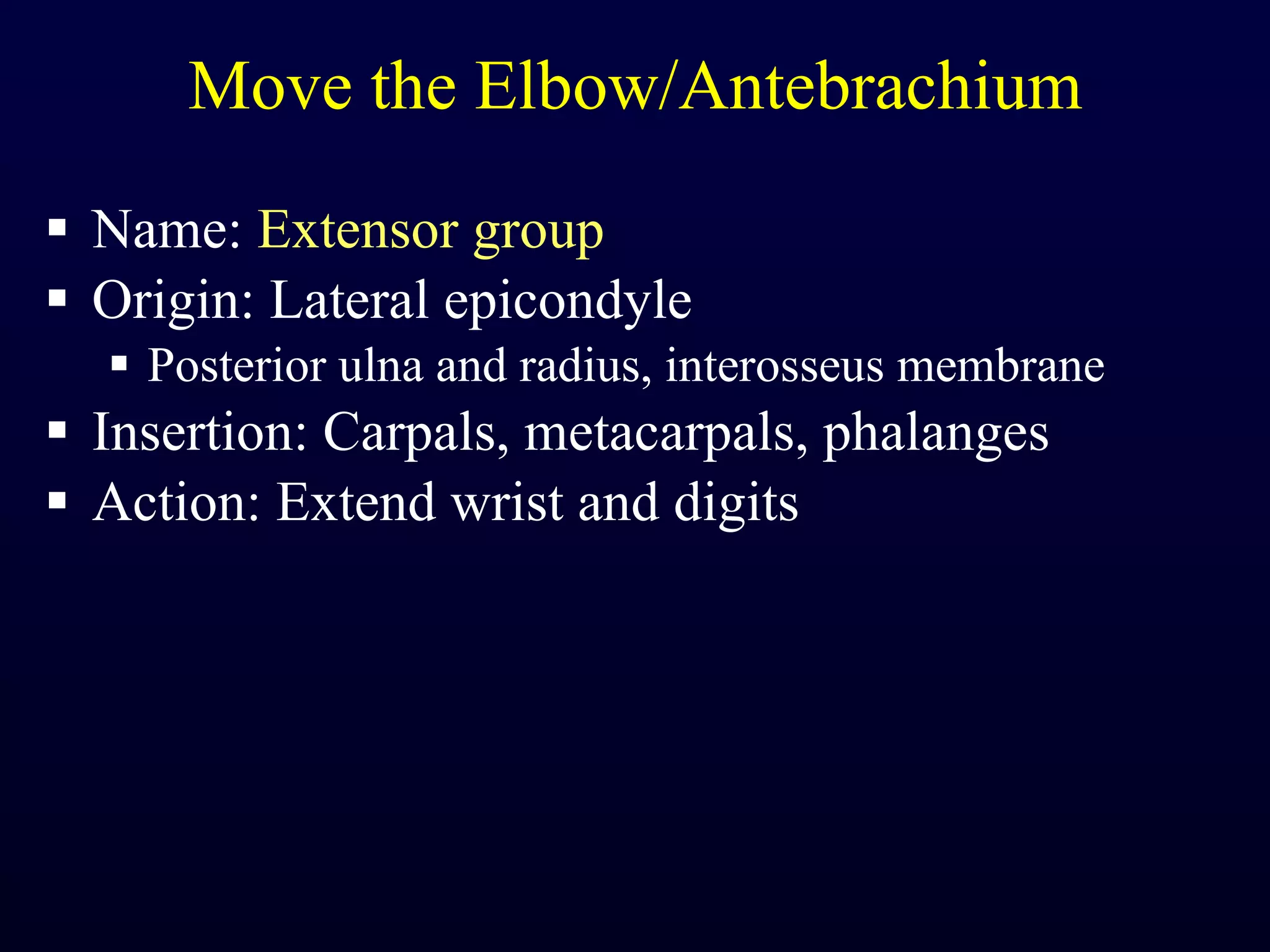 Move the Elbow/Antebrachium Name:  Extensor group Origin: Lateral epicondyle Posterior ulna and radius, interosseus membrane Insertion: Carpals, metacarpals, phalanges Action: Extend wrist and digits 