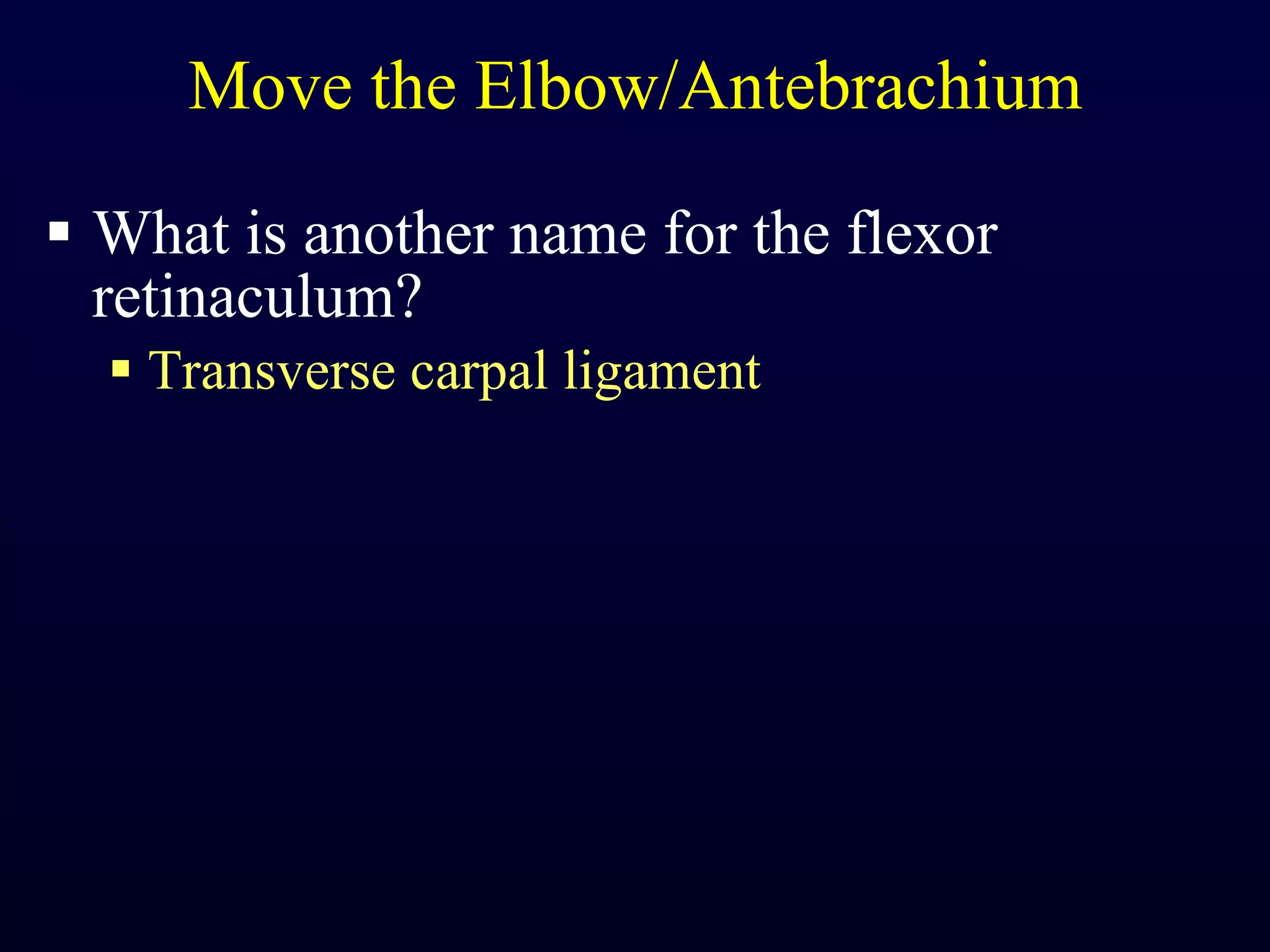 Move the Elbow/Antebrachium What is another name for the flexor retinaculum? Transverse carpal ligament 