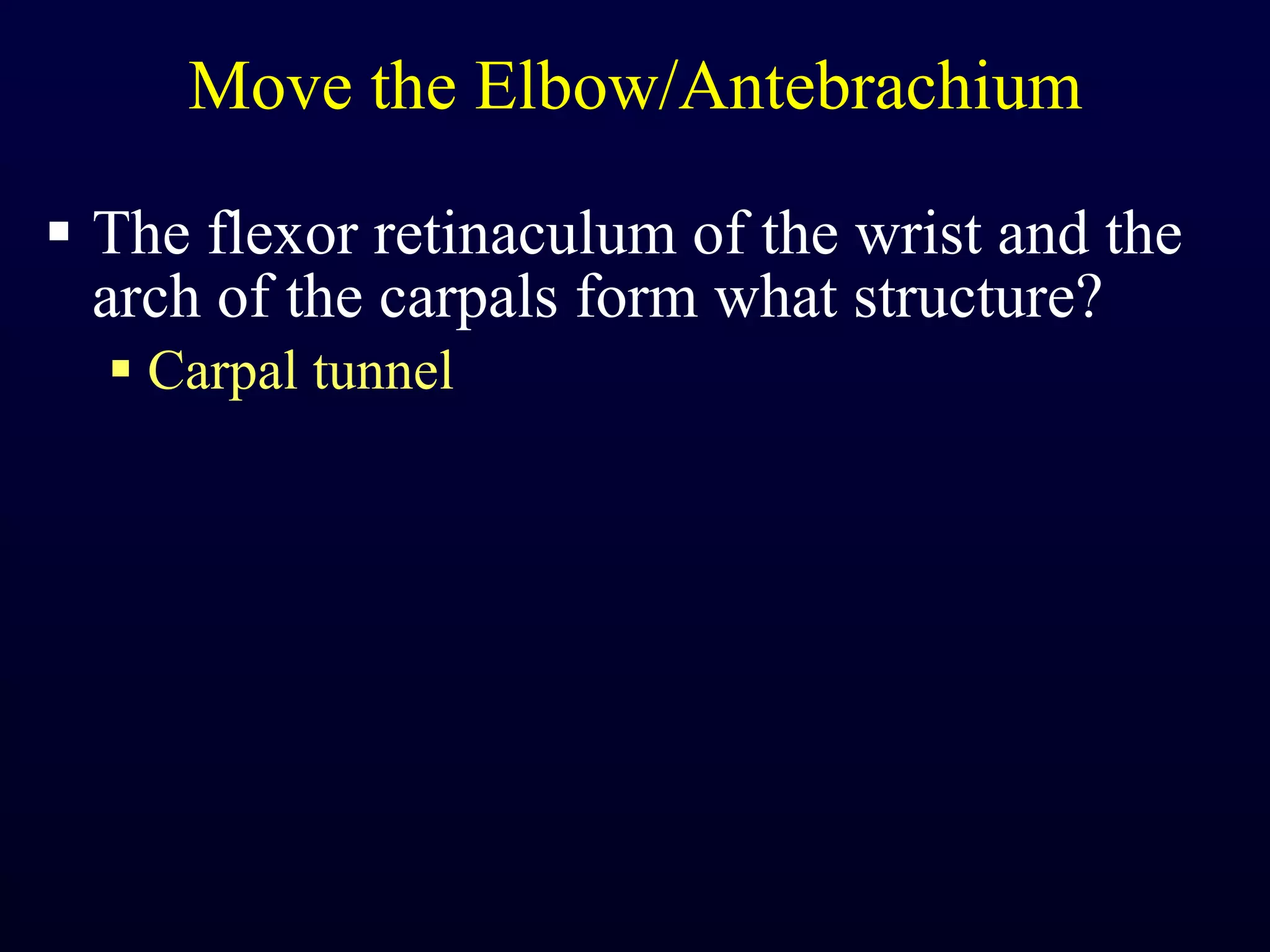 Move the Elbow/Antebrachium The flexor retinaculum of the wrist and the arch of the carpals form what structure? Carpal tunnel 