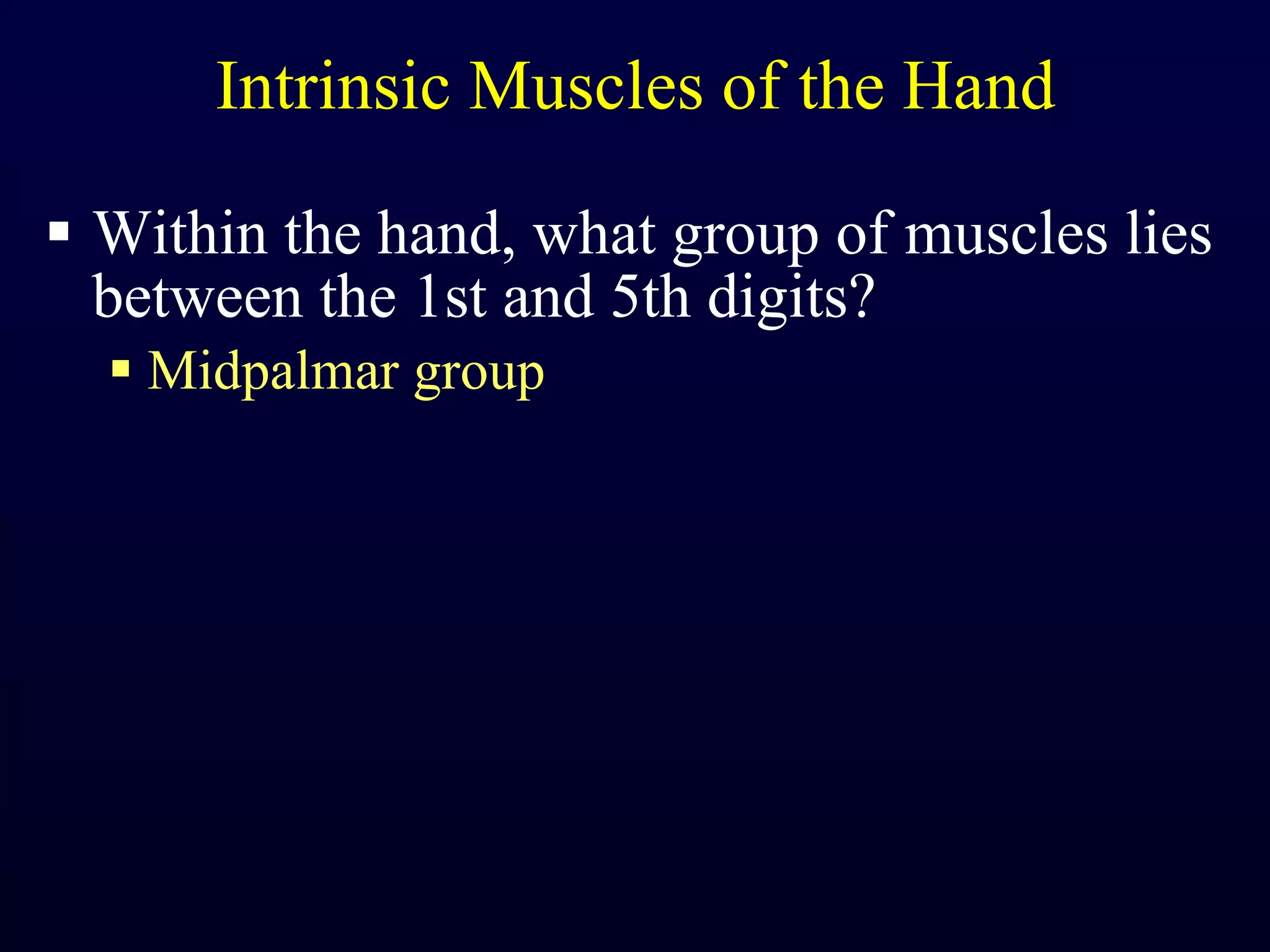 Intrinsic Muscles of the Hand Within the hand, what group of muscles lies between the 1st and 5th digits? Midpalmar group 