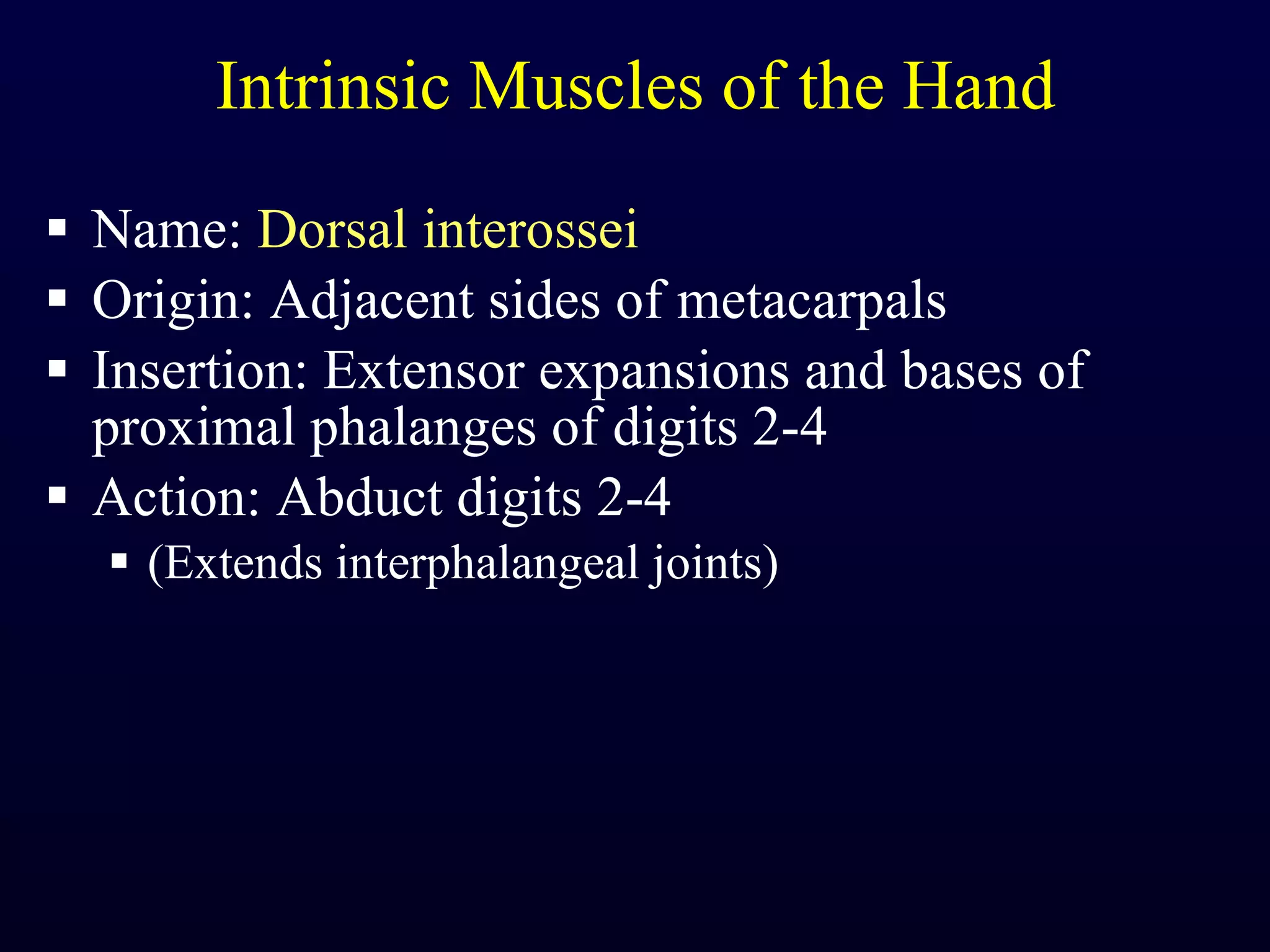 Intrinsic Muscles of the Hand Name:  Dorsal interossei Origin: Adjacent sides of metacarpals Insertion: Extensor expansions and bases of proximal phalanges of digits 2-4 Action: Abduct digits 2-4 (Extends interphalangeal joints) 