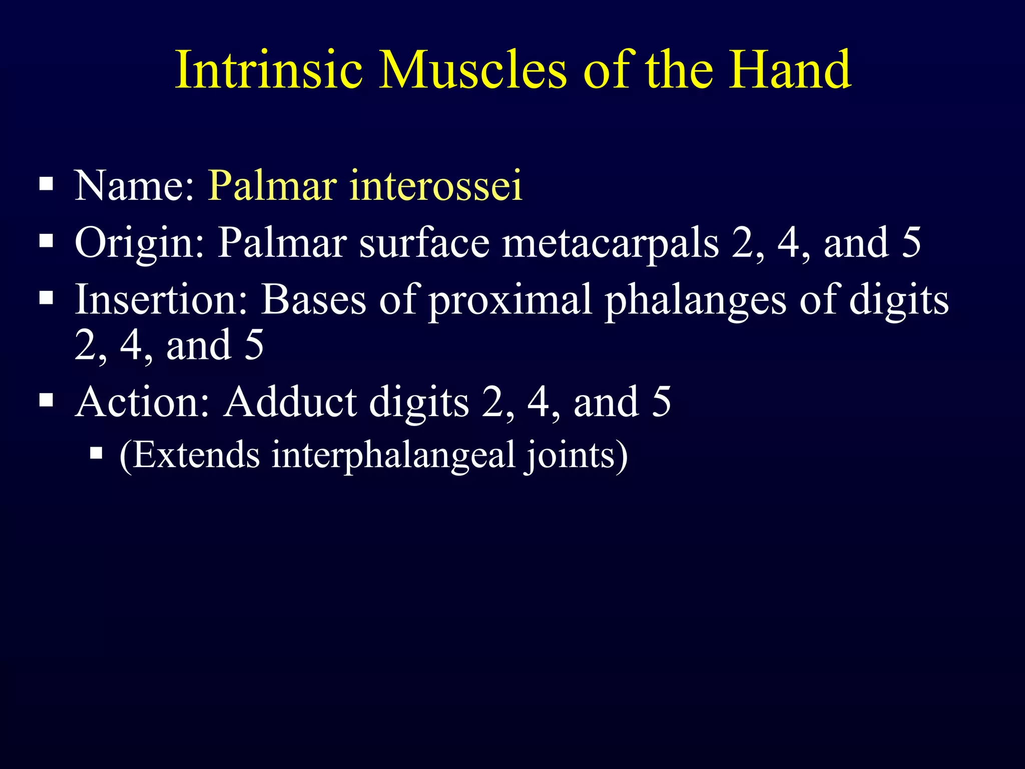 Intrinsic Muscles of the Hand Name:  Palmar interossei Origin: Palmar surface metacarpals 2, 4, and 5 Insertion: Bases of proximal phalanges of digits 2, 4, and 5 Action: Adduct digits 2, 4, and 5 (Extends interphalangeal joints) 