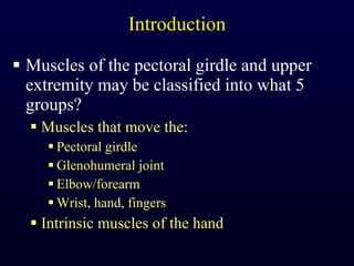 Introduction Muscles of the pectoral girdle and upper extremity may be classified into what 5 groups? Muscles that move the: Pectoral girdle Glenohumeral joint Elbow/forearm Wrist, hand, fingers Intrinsic muscles of the hand 