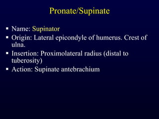 Pronate/Supinate Name:  Supinator Origin: Lateral epicondyle of humerus. Crest of ulna. Insertion: Proximolateral radius (distal to tuberosity) Action: Supinate antebrachium 