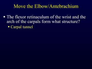 Move the Elbow/Antebrachium The flexor retinaculum of the wrist and the arch of the carpals form what structure? Carpal tunnel 