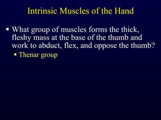 Intrinsic Muscles of the Hand What group of muscles forms the thick, fleshy mass at the base of the thumb and work to abduct, flex, and oppose the thumb? Thenar group 
