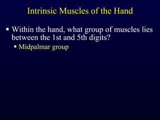 Intrinsic Muscles of the Hand Within the hand, what group of muscles lies between the 1st and 5th digits? Midpalmar group 