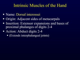 Intrinsic Muscles of the Hand Name:  Dorsal interossei Origin: Adjacent sides of metacarpals Insertion: Extensor expansions and bases of proximal phalanges of digits 2-4 Action: Abduct digits 2-4 (Extends interphalangeal joints) 