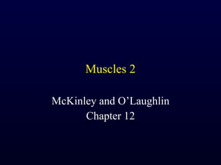 Muscles 2 McKinley and O’Laughlin Chapter 12 