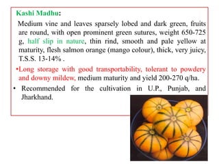 Kashi Rind 18 Muskmelon.pptx