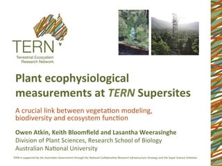 Plant	
  ecophysiological	
  
measurements	
  at	
  TERN	
  Supersites	
  
A	
  crucial	
  link	
  between	
  vegeta1on	
  modeling,	
  
biodiversity	
  and	
  ecosystem	
  func1on	
  
Owen	
  Atkin,	
  Keith	
  Bloomﬁeld	
  and	
  Lasantha	
  Weerasinghe	
  
Division	
  of	
  Plant	
  Sciences,	
  Research	
  School	
  of	
  Biology	
  
Australian	
  Na1onal	
  University	
  
 