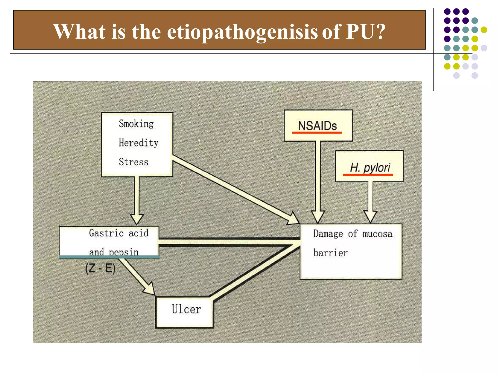What is the etiopathogenisis   of PU? 