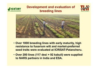 Development and evaluation of
                 breeding lines




•  Over 1000 breeding lines with early maturity, high
   resistance to fusarium wilt and market-preferred
   seed traits were evaluated at ICRISAT-Patancheru.
•  Over 200 lines (117 desi + 92 kabuli) were supplied
   to NARS partners in India and ESA.
 