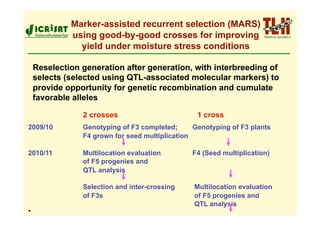 Marker-assisted recurrent selection (MARS)
              using good-by-good crosses for improving
                yield under moisture stress conditions

     Reselection generation after generation, with interbreeding of
     selects (selected using QTL-associated molecular markers) to
     provide opportunity for genetic recombination and cumulate
     favorable alleles

                 2 crosses                         1 cross
2009/10          Genotyping of F3 completed;      Genotyping of F3 plants
                 F4 grown for seed multiplication

2010/11          Multilocation evaluation        F4 (Seed multiplication)
                 of F5 progenies and
                 QTL analysis

                 Selection and inter-crossing     Multilocation evaluation
                 of F3s                           of F5 progenies and
                                                  QTL analysis
• 
 