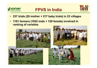 FPVS in India
•  237 trials (20 mother + 217 baby trials) in 23 villages
•  1181 farmers (1052 male + 129 female) involved in
   ranking of varieties
 