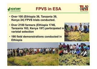 FPVS in ESA
•  Over 100 (Ethiopia 38, Tanzania 39,
   Kenya 24) FPVS trials conducted.
•  Over 2100 farmers (Ethiopia 1746,
   Tanzania 163, Kenya 197) participated in
   varietal selection
•  190 field demonstrations conducted in
   Ethiopia
 