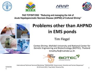 FAO TCP/INT/3502 “Reducing and managing the risk of
Acute Hepatopancreatic Necrosis Disease (AHPND) of Cultured Shrimp”
Problems other than AHPND
in EMS ponds
Tim Flegel
Centex Shrimp, Mahidol University and National Center for
Genetic Engineering and Biotechnology (BIOTEC), Thailand
timothy.fle@mahidol.ac.th
6/24/201
5
International Technical Seminar/Workshop “EMS/AHPND: Government, Scientist and Farmer Responses”
22-24 June 2015, Tryp Hotel, Panama City 1
 