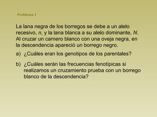 Problema 1


La lana negra de los borregos se debe a un alelo
recesivo, n, y la lana blanca a su alelo dominante, N.
Al cruzar un carnero blanco con una oveja negra, en
la descendencia apareció un borrego negro.
a) ¿Cuáles eran los genotipos de los parentales?

b) ¿Cuáles serán las frecuencias fenotípicas si
   realizamos un cruzamiento prueba con un borrego
   blanco de la descendencia?
 