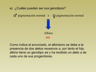 a) ¿Cuáles pueden ser sus genotipos? 
pigmentación normal x pigmentación normal 
Albino 
aa 
Como indica el enunciado, el albinismo se debe a la 
presencia de dos alelos recesivos a, por tanto el hijo 
albino tiene un genotipo aa y ha recibido un alelo a de 
cada uno de sus progenitores. 
 