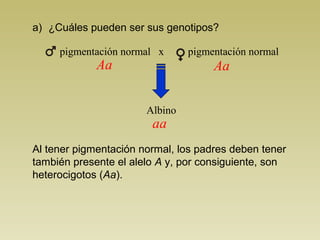 a) ¿Cuáles pueden ser sus genotipos? 
pigmentación normal x pigmentación normal 
Albino 
Aa 
aa 
Aa 
Al tener pigmentación normal, los padres deben tener 
también presente el alelo A y, por consiguiente, son 
heterocigotos (Aa). 
 