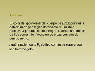 Problema 6 
El color de tipo normal del cuerpo de Drosophila está 
determinado por el gen dominante n+; su alelo 
recesivo n produce el color negro. Cuando una mosca 
de tipo común de línea pura se cruza con otra de 
cuerpo negro: 
¿qué fracción de la F2 de tipo común se espera que 
sea heterocigota? 
 