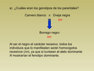 a) ¿Cuáles eran los genotipos de los parentales? 
Carnero blanco x Oveja negra 
nn 
Borrego negro 
nn 
Al ser el negro el carácter recesivo, todos los 
individuos que lo manifiesten serán homocigotos 
recesivos (nn), ya que si tuviesen el alelo dominante 
N mostrarían el fenotipo dominante. 
 