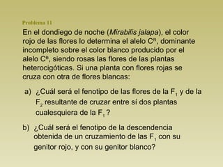 Problema 11 
En el dondiego de noche (Mirabilis jalapa), el color 
rojo de las flores lo determina el alelo CR, dominante 
incompleto sobre el color blanco producido por el 
alelo CB, siendo rosas las flores de las plantas 
heterocigóticas. Si una planta con flores rojas se 
cruza con otra de flores blancas: 
a) ¿Cuál será el fenotipo de las flores de la F1 y de la 
F2 resultante de cruzar entre sí dos plantas 
cualesquiera de la F1 ? 
b) ¿Cuál será el fenotipo de la descendencia 
obtenida de un cruzamiento de las F1 con su 
genitor rojo, y con su genitor blanco? 
 