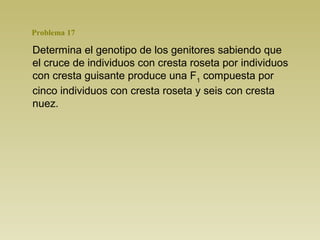 Problema 17 
Determina el genotipo de los genitores sabiendo que 
el cruce de individuos con cresta roseta por individuos 
con cresta guisante produce una F1 compuesta por 
cinco individuos con cresta roseta y seis con cresta 
nuez. 
 