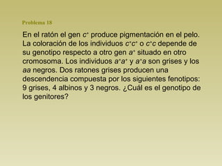 Problema 18 
En el ratón el gen c+ produce pigmentación en el pelo. 
La coloración de los individuos c+c+ o c+c depende de 
su genotipo respecto a otro gen a+ situado en otro 
cromosoma. Los individuos a+a+ y a+a son grises y los 
aa negros. Dos ratones grises producen una 
descendencia compuesta por los siguientes fenotipos: 
9 grises, 4 albinos y 3 negros. ¿Cuál es el genotipo de 
los genitores? 
 