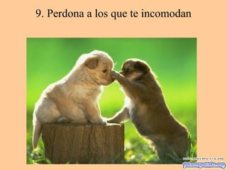 9. Perdona a los que te incomodan