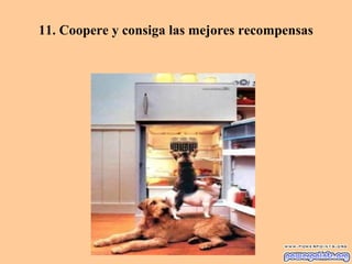 11. Coopere y consiga las mejores recompensas